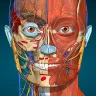Anatomy Learning - Anatomia 3D icon