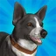 Pocket Paws: My lovely dogs icon