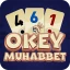 Okey Muhabbet icon