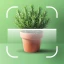 AI Plants - Plant Identifier icon