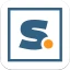 syracuse.com icon