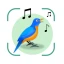 Identificador de Pássaros icon