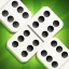 Classic Dominoes: Dominos Game icon