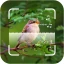 ID Bird: Bird Call Identifier icon