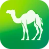 Camel Live icon