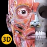 Anatomia - Atlas 3D icon