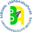 batauto icon