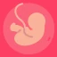Gestational Age (baby's age) icon
