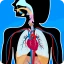Anatomix: Anatomie lernen quiz icon