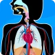 Anatomix: Anatomie lernen quiz icon