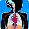 Anatomix: Anatomie lernen quiz icon