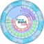 Gestograma - Embarazo Facemamá icon