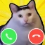 Meme Cat Sim: Cozy Home icon