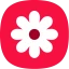 Gallery icon