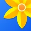 Gallery - Photo Gallery, Album icon