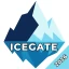 Icegate VPN: Premium Security icon