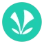 JioSaavn - Music & Podcasts icon