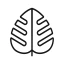 Monstera - Guide de plantes icon