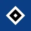 Hamburger SV icon