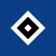 Hamburger SV icon
