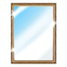 Espelho icon