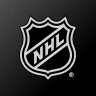 NHL icon