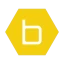 b-hyve Pro icon