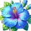 Nature Calm Paint by Numbers icon