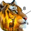 Wild Color: Malen nach Zahlen icon