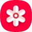 Gallery icon