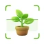 Identification des plantes icon