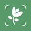 მცენარე Identifier - Plant App icon