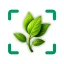 Identificateur de plantes icon