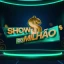 Show do Milhão Oficial icon