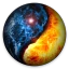AcuPoint - Acupuntura icon