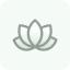 კანის მოვლის რუტინა icon