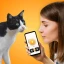 Tradutor de Gatos - Jogo Gato icon