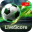 MatchLive: Live Soccer Scores icon
