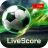 MatchLive: Live Soccer Scores icon