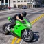 Driving Motor Racing Simulator icon