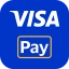 Visa Pay icon