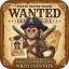 Pirate Wanted Poster icon