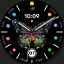 WFP 305 Butterfly watch face icon