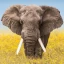 Wildlife Weather icon