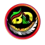 BD NET VPN icon