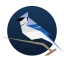 BirdNET Live icon
