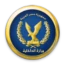 وزارة الداخلية المصرية icon