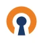 OpenVPN Connect icon