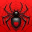 Spider Solitaire icon