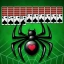Spider Solitaire - Card Games icon
